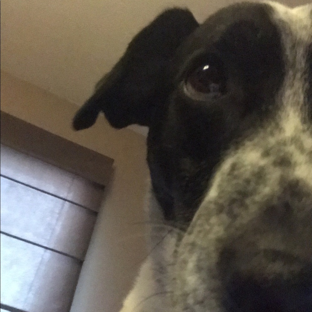 Meet your Posher, Cierra